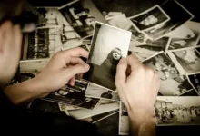 How Literature Shapes Collective Memory