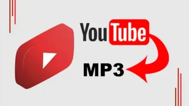 YouTube to MP4 Downloader: A Complete Informational Guide 2 YouTube to MP4 Downloader A Complete Informational Guide